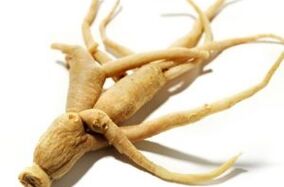 raíz do ginseng para mellorar a potencia